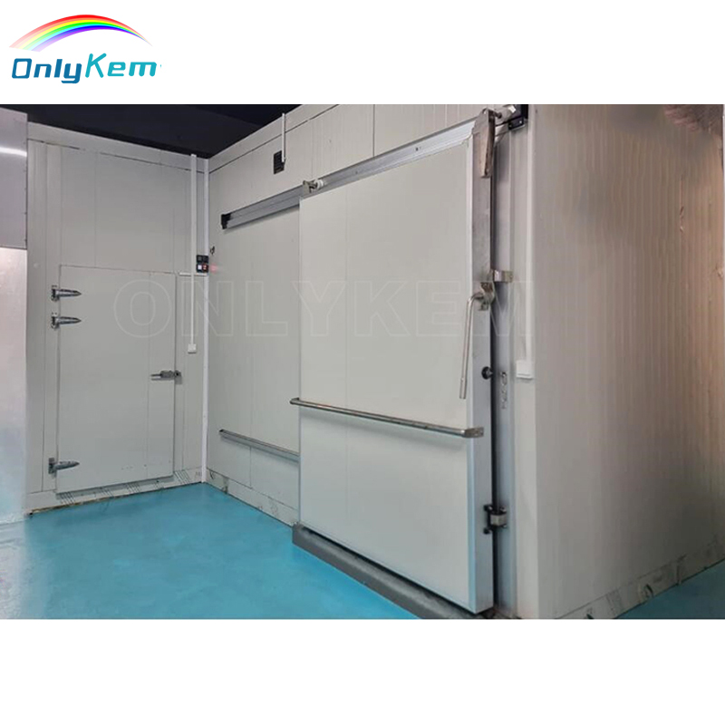Insulated Walk-In Freezer Cold Storage Door with Durable Sealing and Energy-Saving Thermal Protection Design