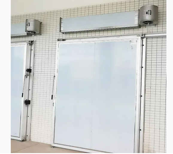 Energy-Efficient Cold Storage Door with Heavy-Duty Stainless Steel Design