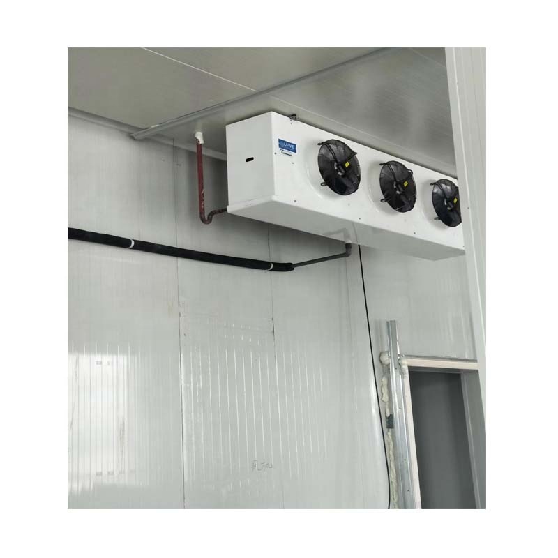 Insulated Hinged Door with Emerson Pump for Custom Cold Storage Marine Coolroom Walk-in Freezer Cold Rooms