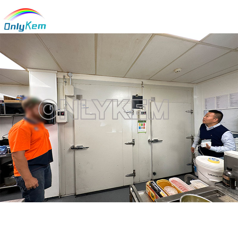 Insulated Walk-In Freezer Cold Storage Door with Durable Sealing and Energy-Saving Thermal Protection Design
