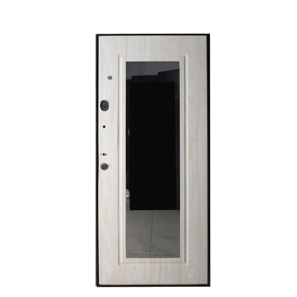 Stylish and Durable Main Entrance Steel Door Solutions