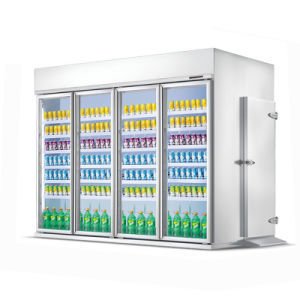 Shhag Display Chiller Wine Cabinet Beverage Refrigerator Cold Storage Glass Doors