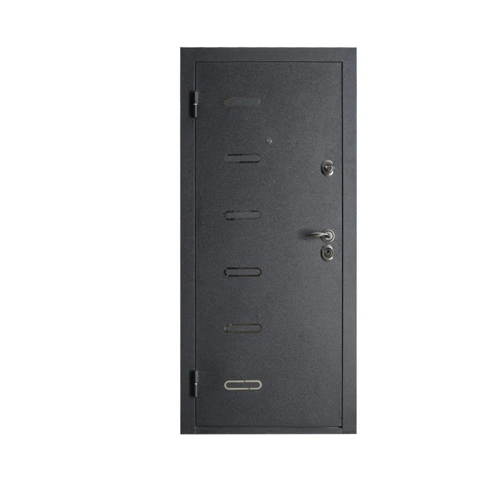 Stylish and Durable Main Entrance Steel Door Solutions