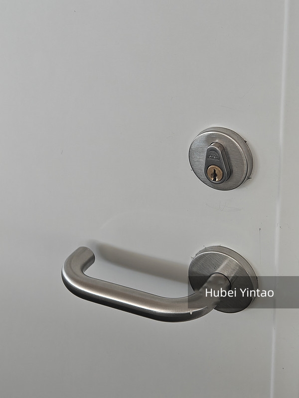 Modern Fire Rated Steel Door for Commercial Buildings Narrow Glass Finished Paint for Hotels Fire Prevention