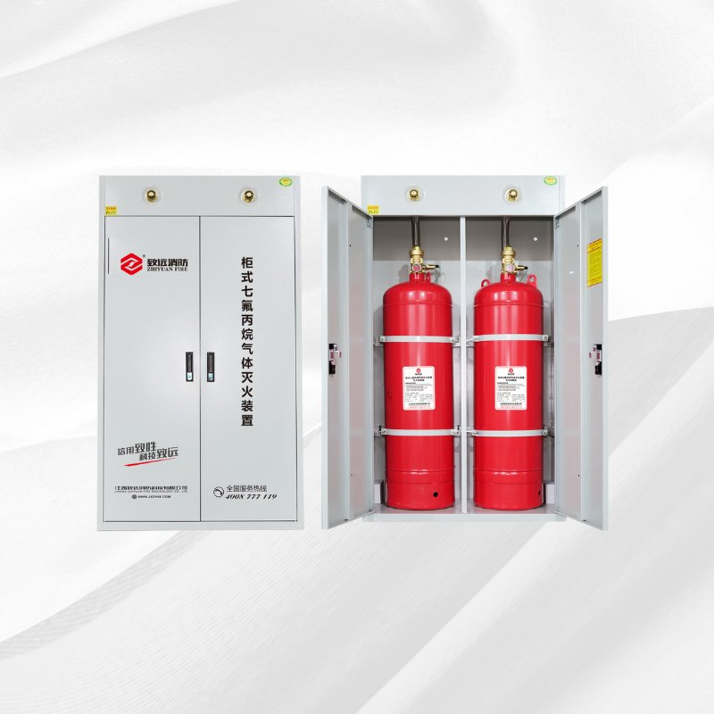 Dual Door FM200 Fire Extinguishing Cabinet System
