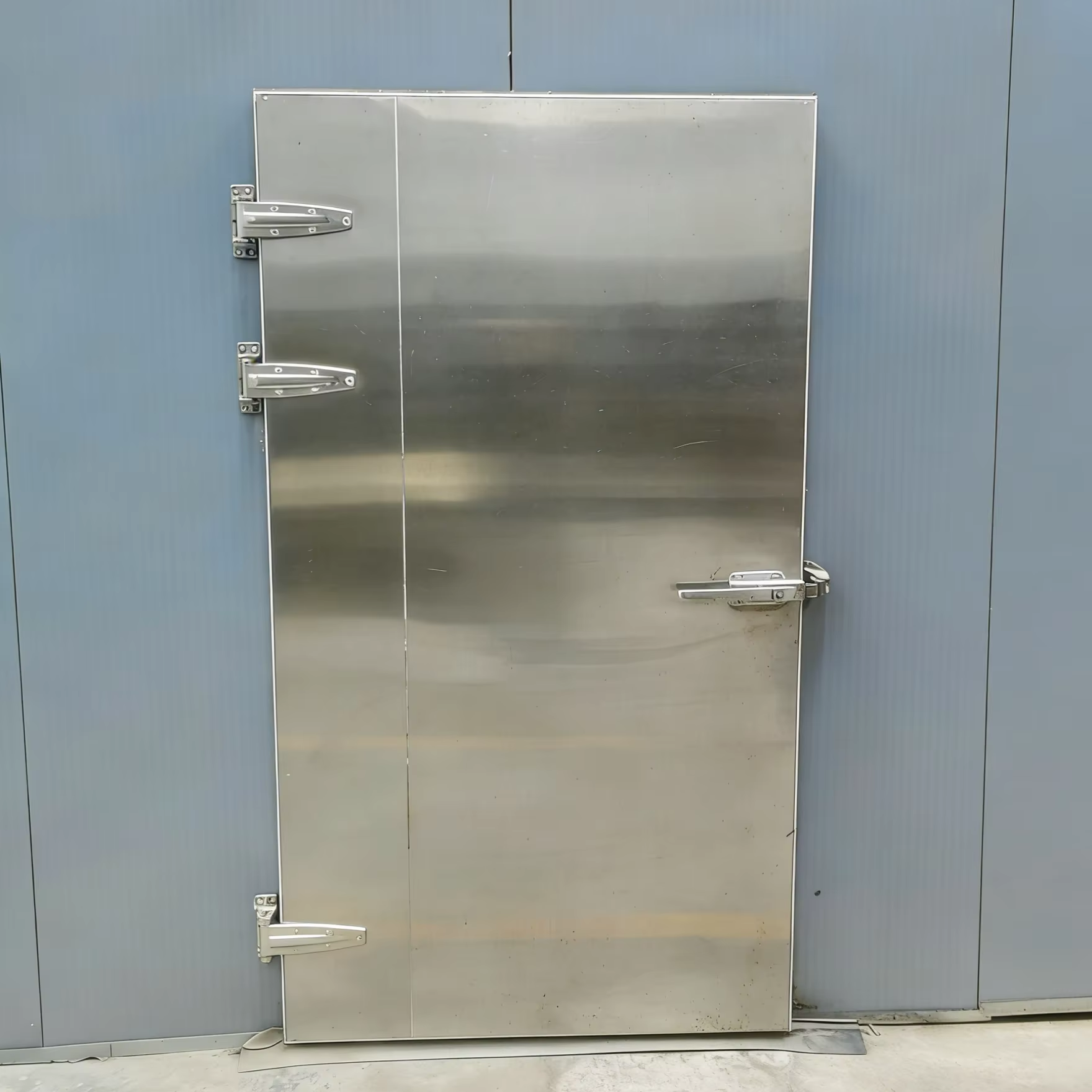 Cold Storage Door Walk in Freezer Door Fast Delivery Cold Room Door Available in Multiple Standard Sizes