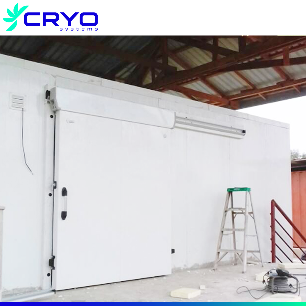 Walkin Freezer Cold Storage Room Doors Cost Polyurethane Insulation Marine Cold Store Room Door