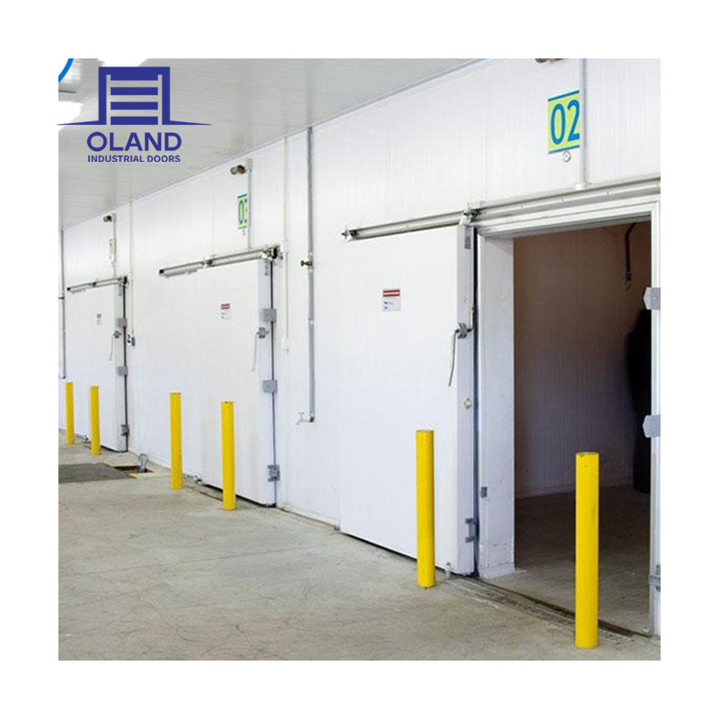 Manufacture Cold Storage Room Energy-Saving Automatic Closing Steel Refrigerator Freezer Door for Cold Chain &amp; Commercial