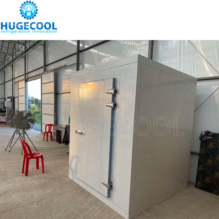 Cold Storage Room Door Hinged Sliding Door for Walkin Coolers