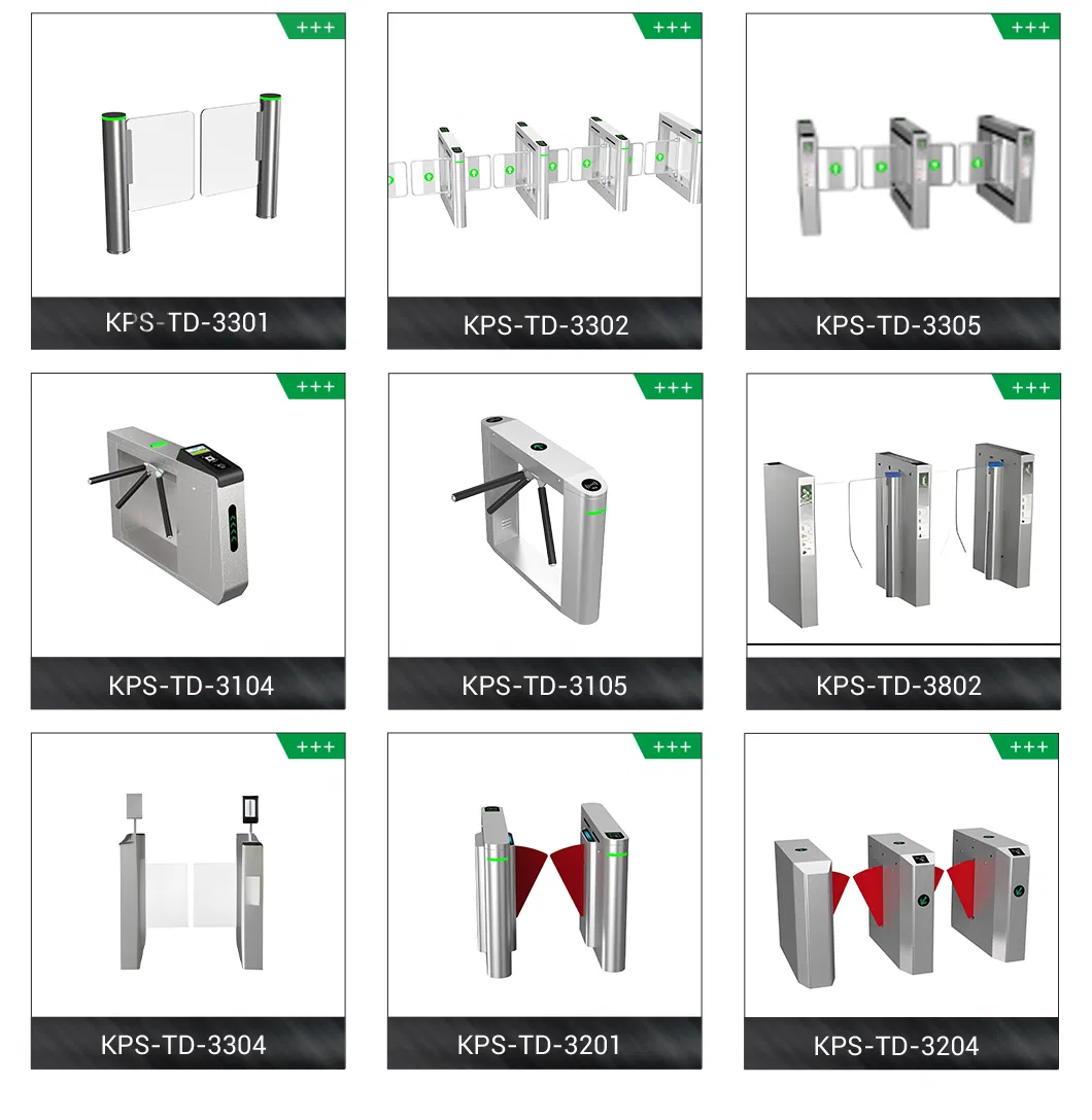 Main Product Lineup