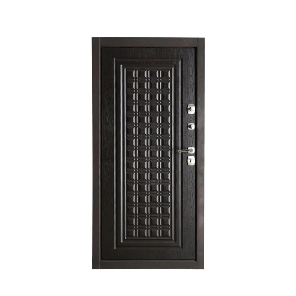 Stylish and Durable Main Entrance Steel Door Solutions