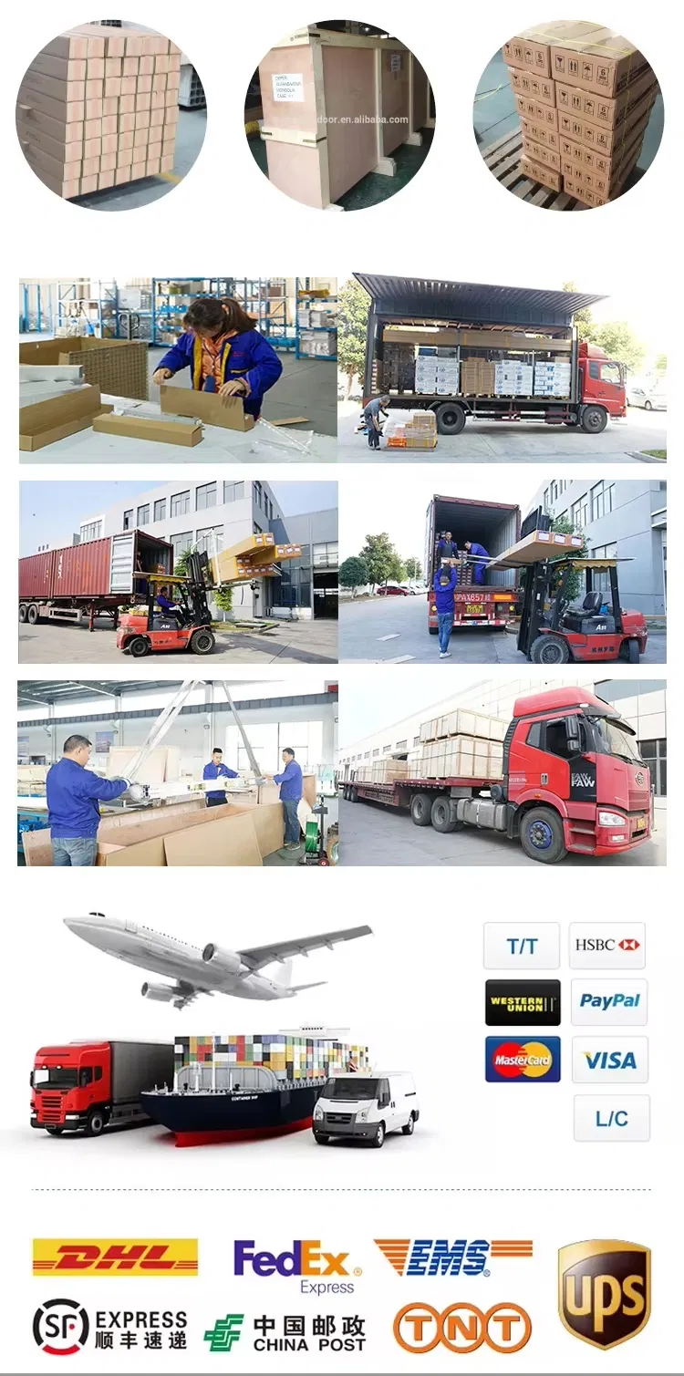 Shipping Logistics