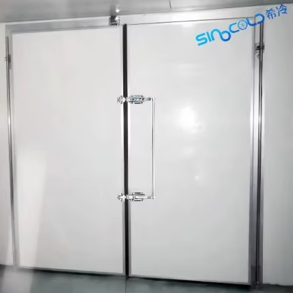 Cold Storage Door Single Open Double Open Pivot Door Custom Color Steel 100mm Manual Door 1mx2m