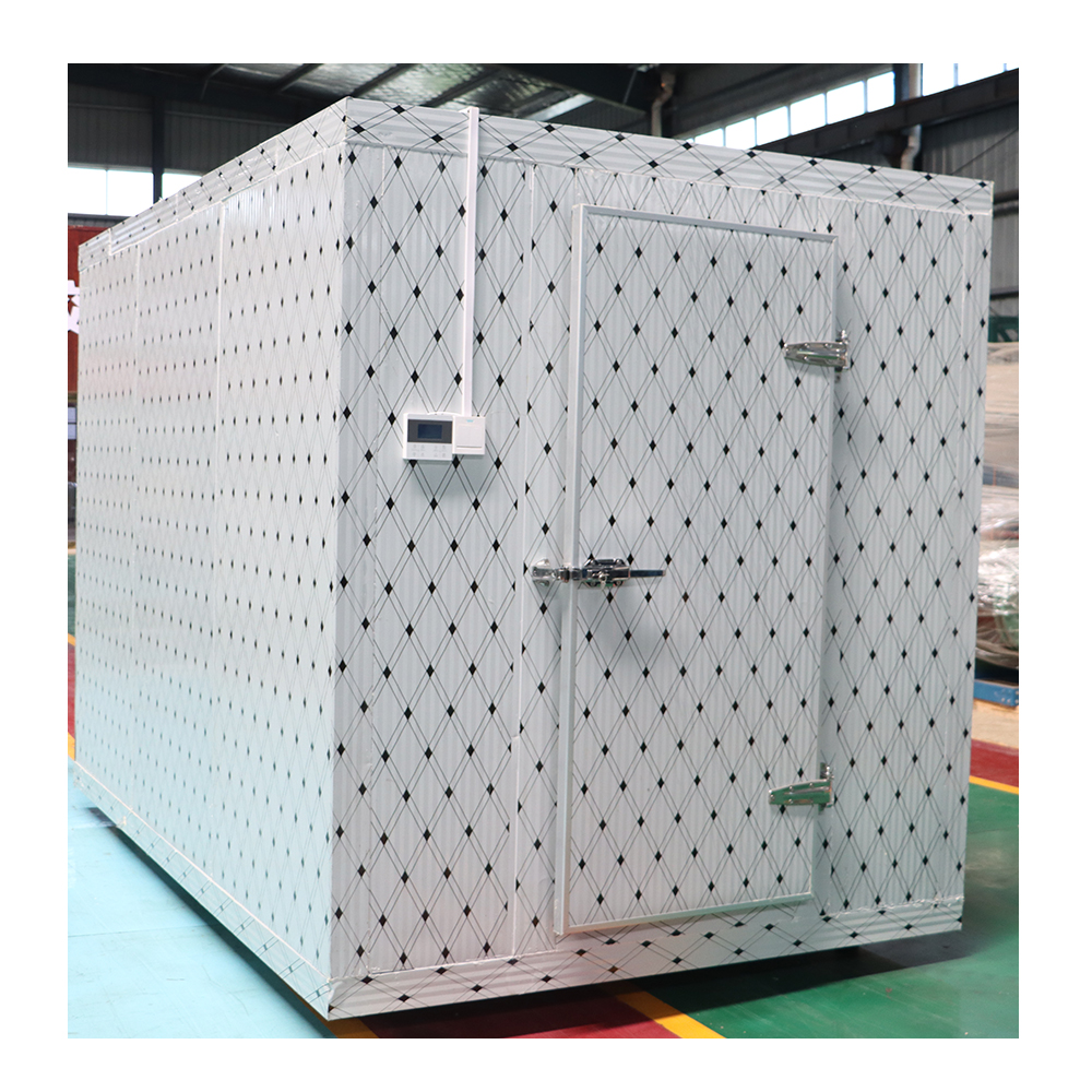 Cold Room Door Heat Insulation Cold Storage Hinge Door