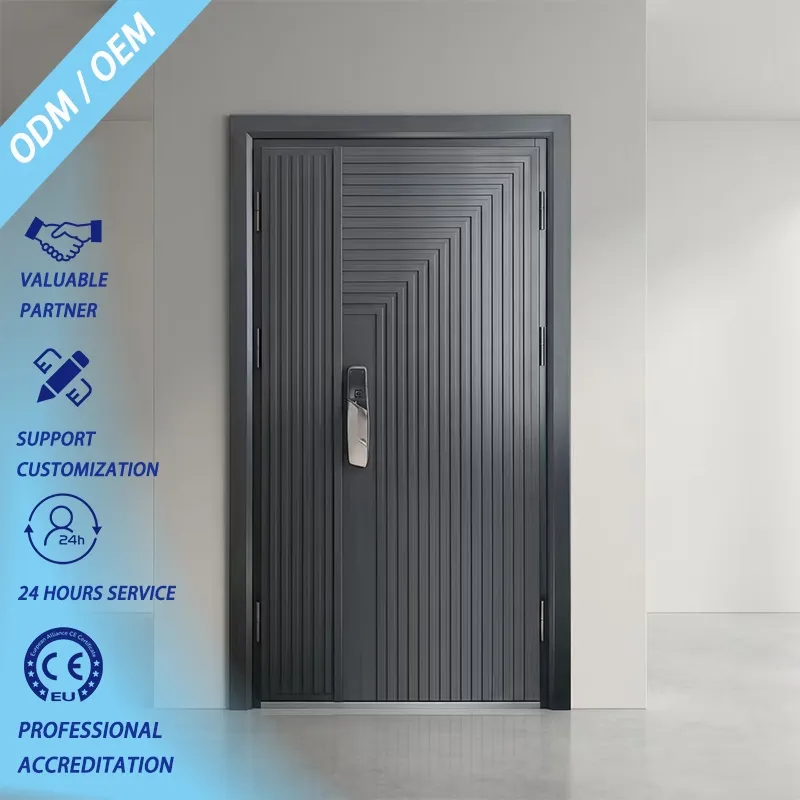 High-Strength American Style Residential Door