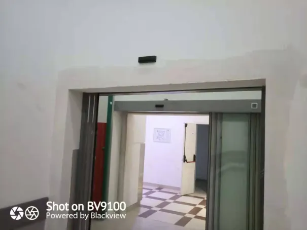 Automatic Telescopic Door System