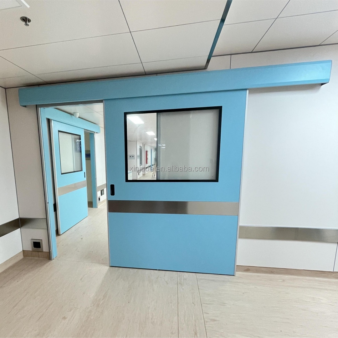 Customized Steel Door Cold Room Door Manual Opening Finished Air-Tight Thermal Insulation for Pharmaceutical Warehouse Use