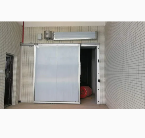 Energy-Efficient Cold Storage Door with Heavy-Duty Stainless Steel Design