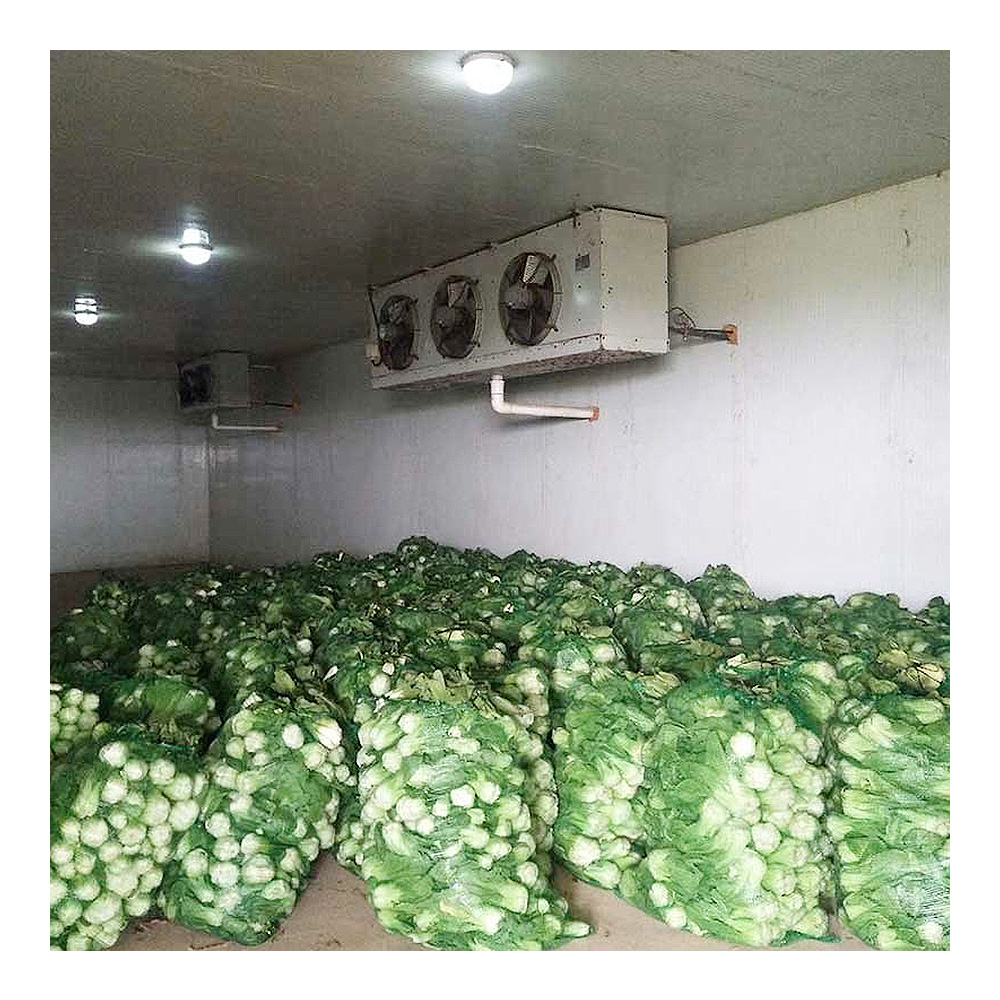 Large Logistics Warehouse Walk-in Freezer Cold Storage Room Daikin Energy Saving Customizable Dimensions For Vegetables