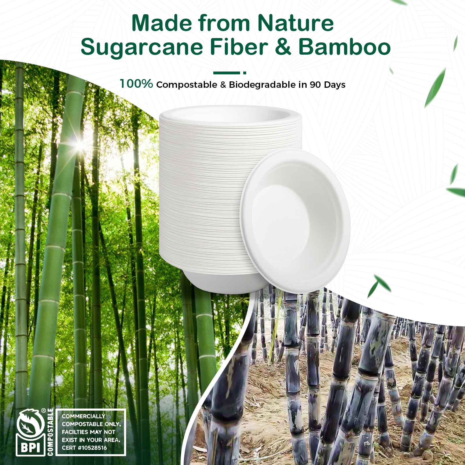 Oasis Eco-Friendly Disposable Bamboo Bowls Plates 80-100 Pcs 100% Biodegradable Durable for Camping Party Use Salad Dessert Hot