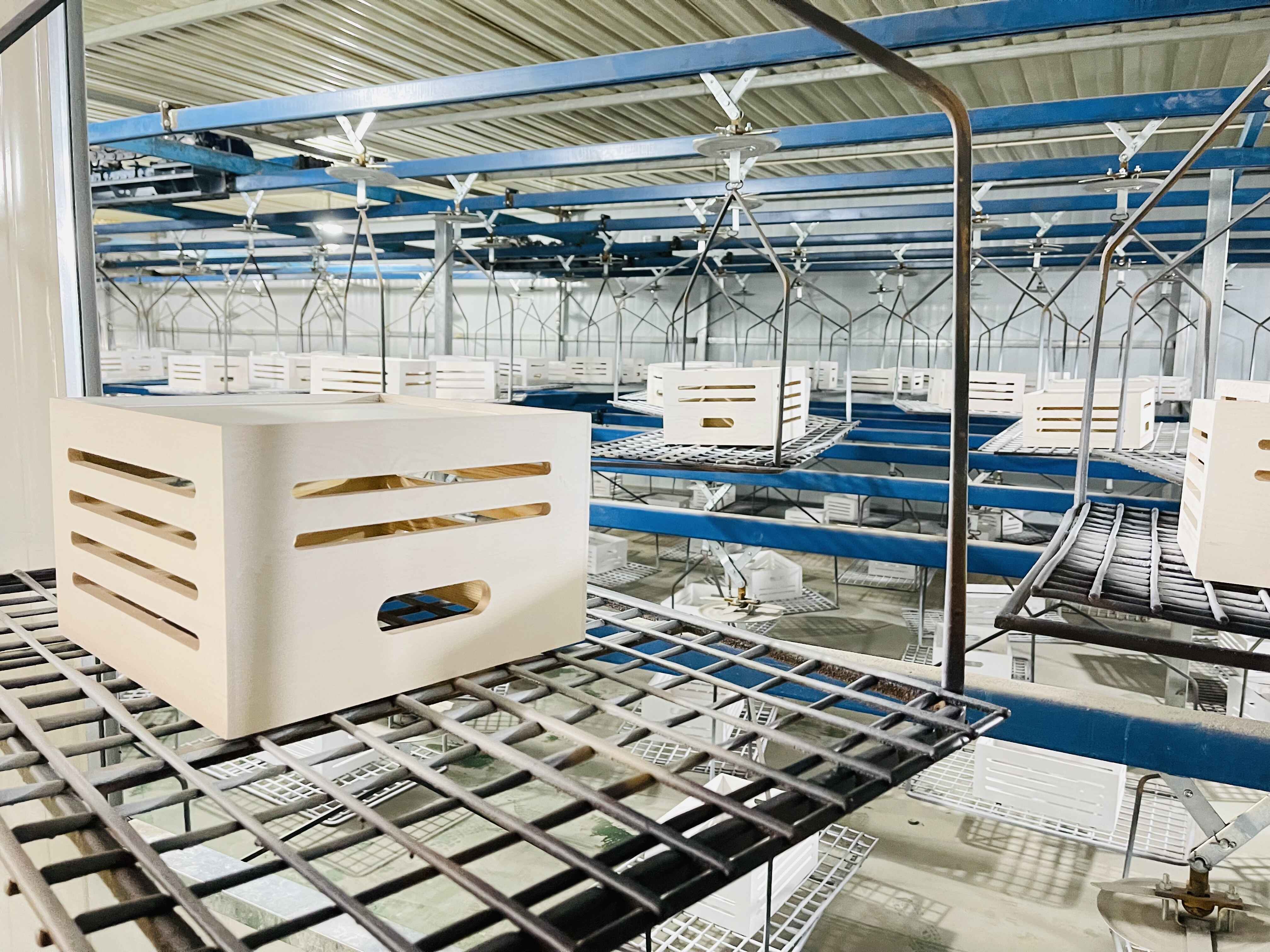 Factory view 3
