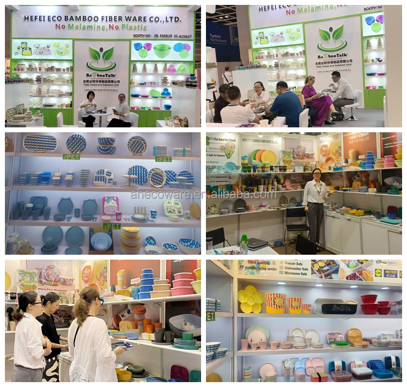 Exhibitions