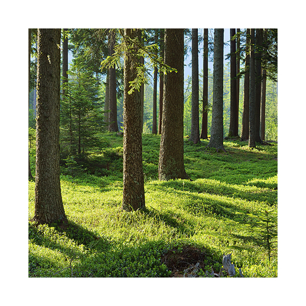 Eco Materials