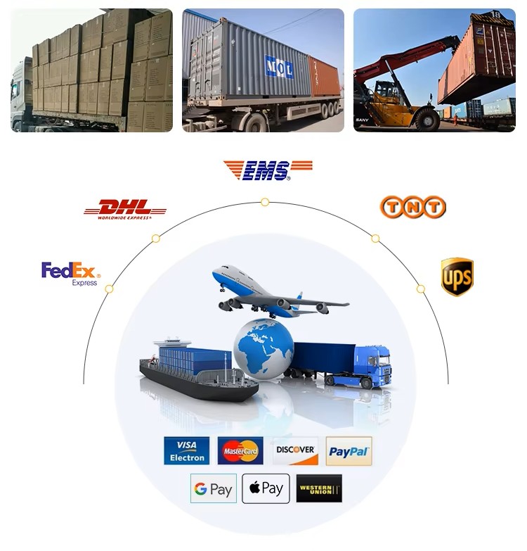 Shipping Options