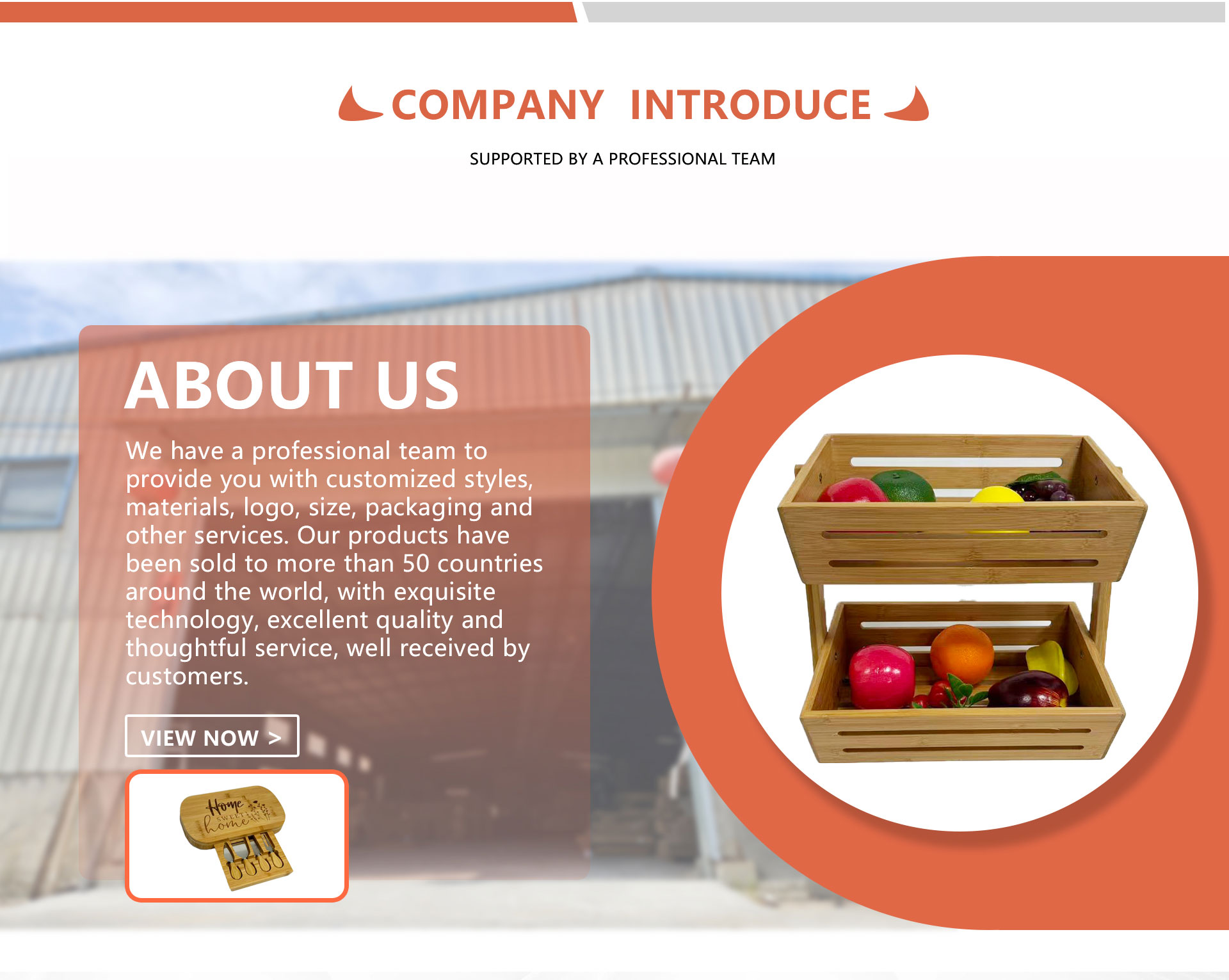 Company overview