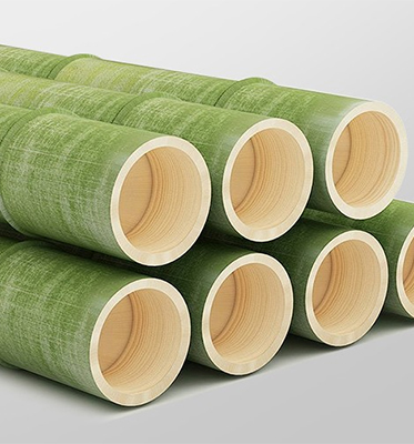 5-Year Mao Bamboo