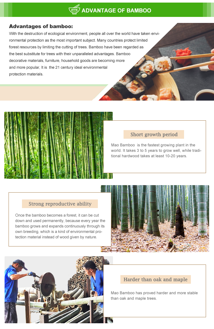 Bamboo Salad Bowl Details 2