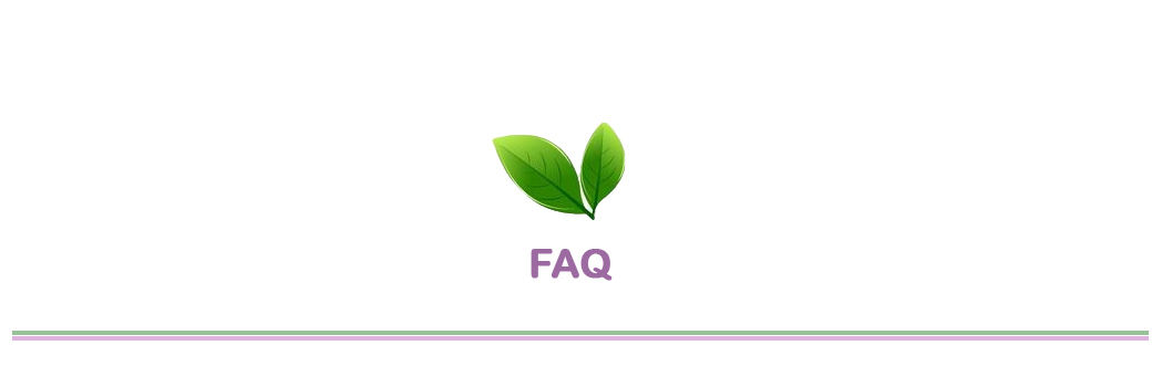 Q&A Section