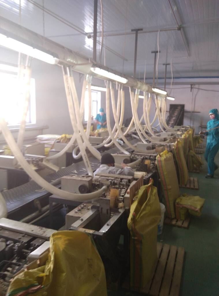 Production Line 2