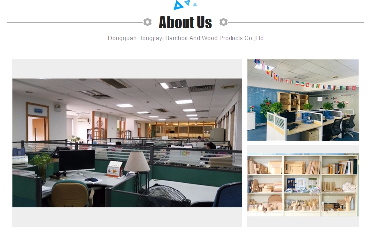 Company Overview 1