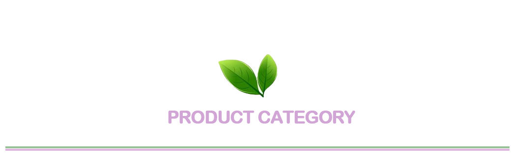Category Header