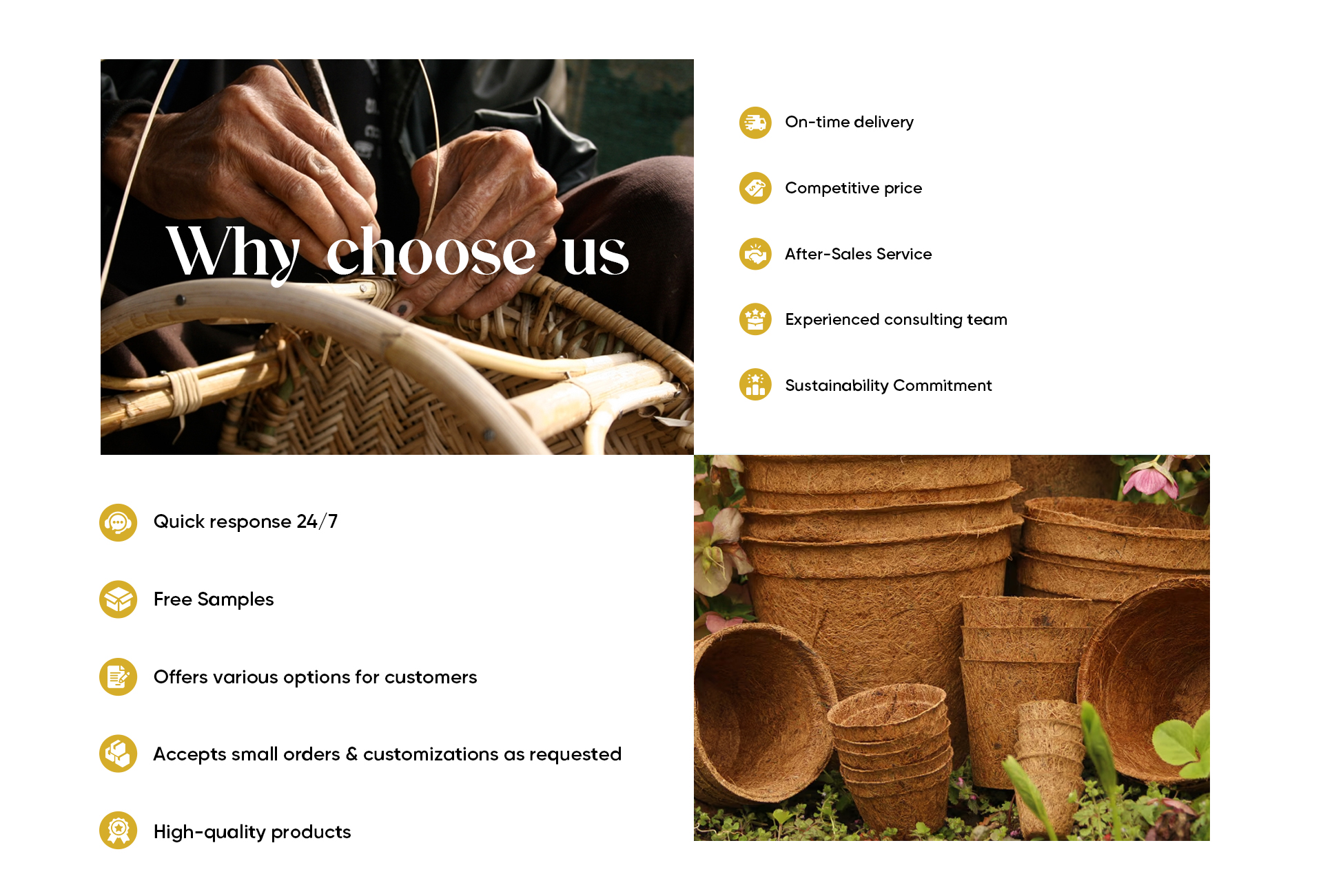 Why Choose Us
