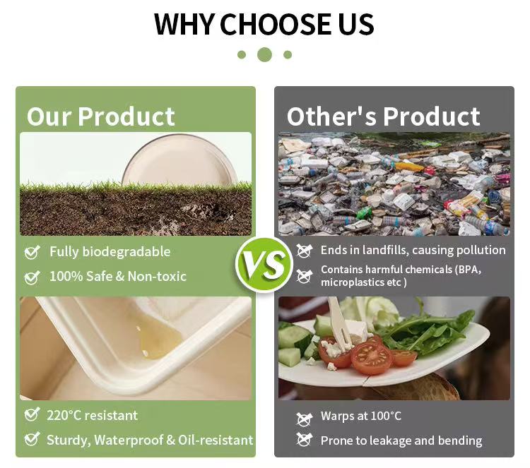Eco Friendly Disposable Microwave Safe Camping Food Packaging Salad Bowl Compostable Bagasse Bamboo Wabi-Sabi Square Bowl