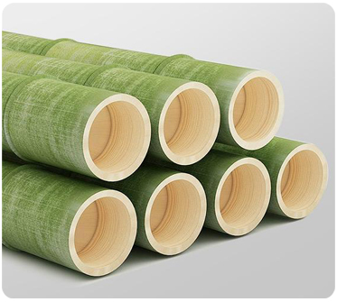 Moso Bamboo