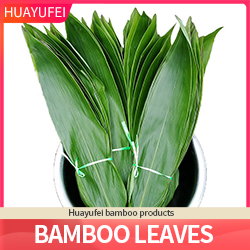 bamboo leaves