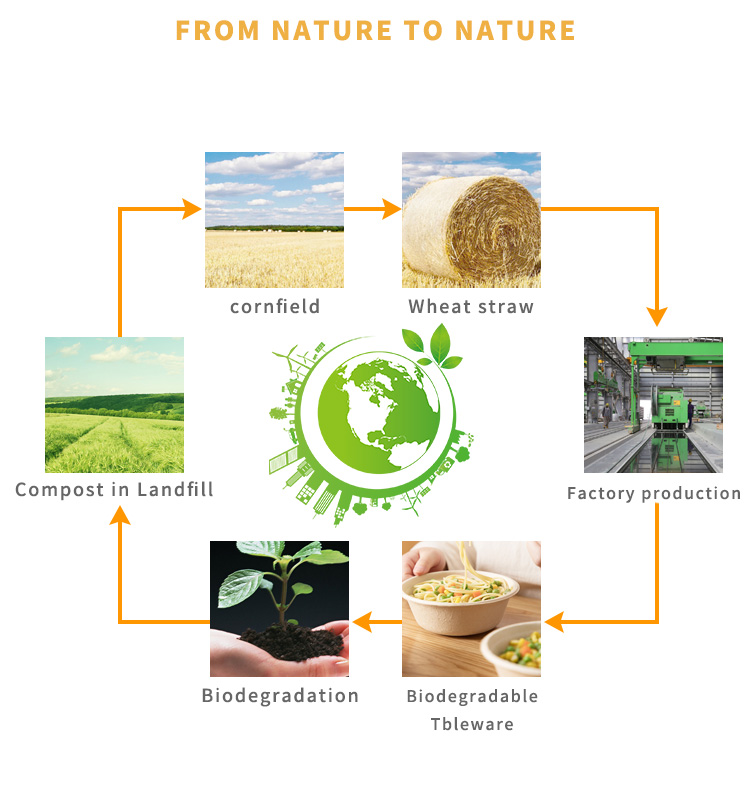 Products Details Image 5