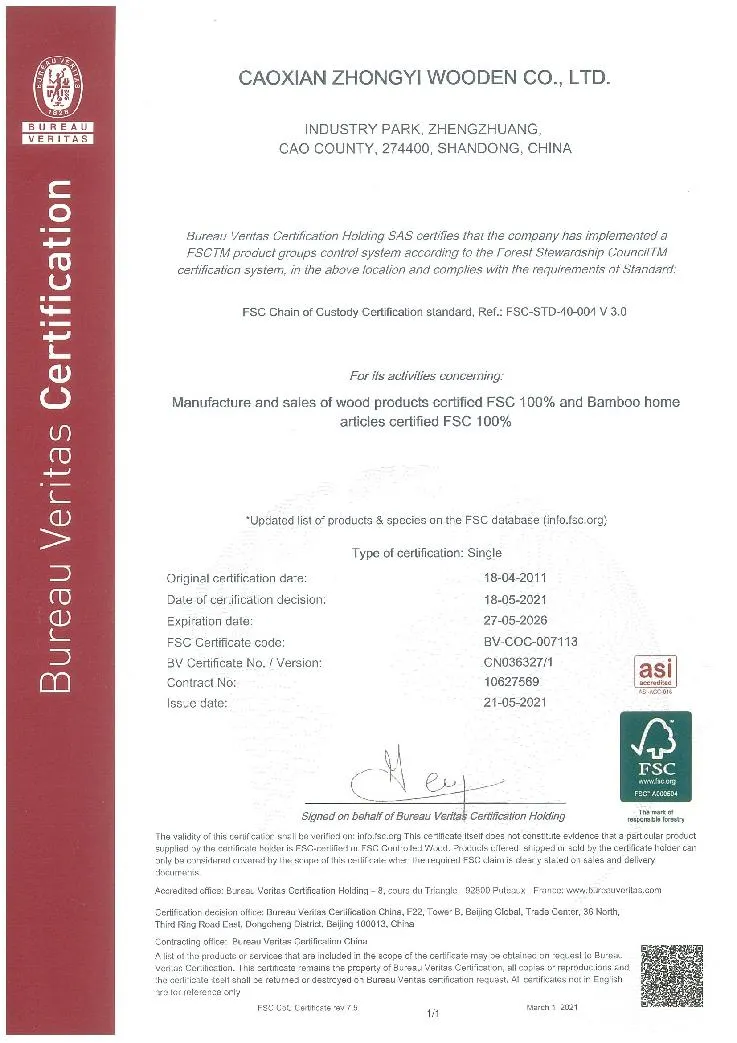 Audit Certificate Document