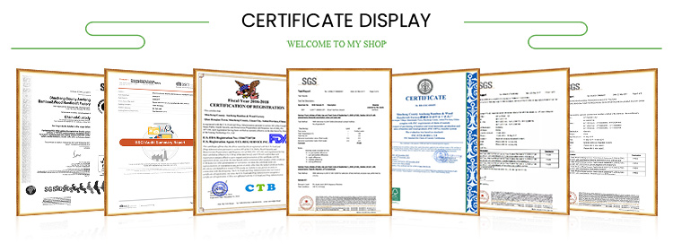 Company Image 2