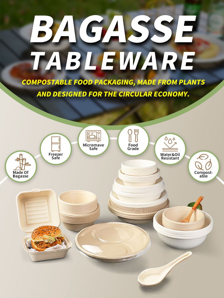 Biodegradable Bamboo Pulp Food Container Banner