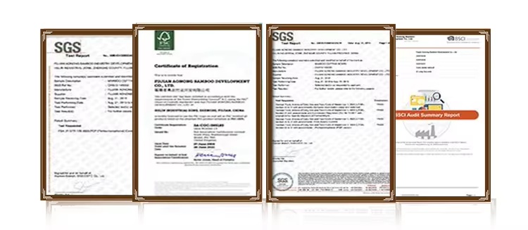 Certification 1