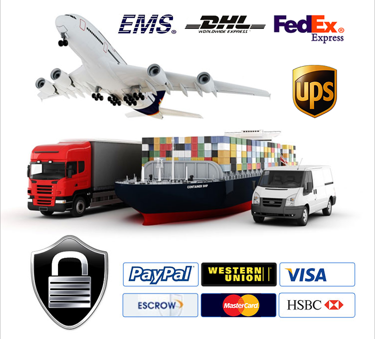 Payment and Shipping