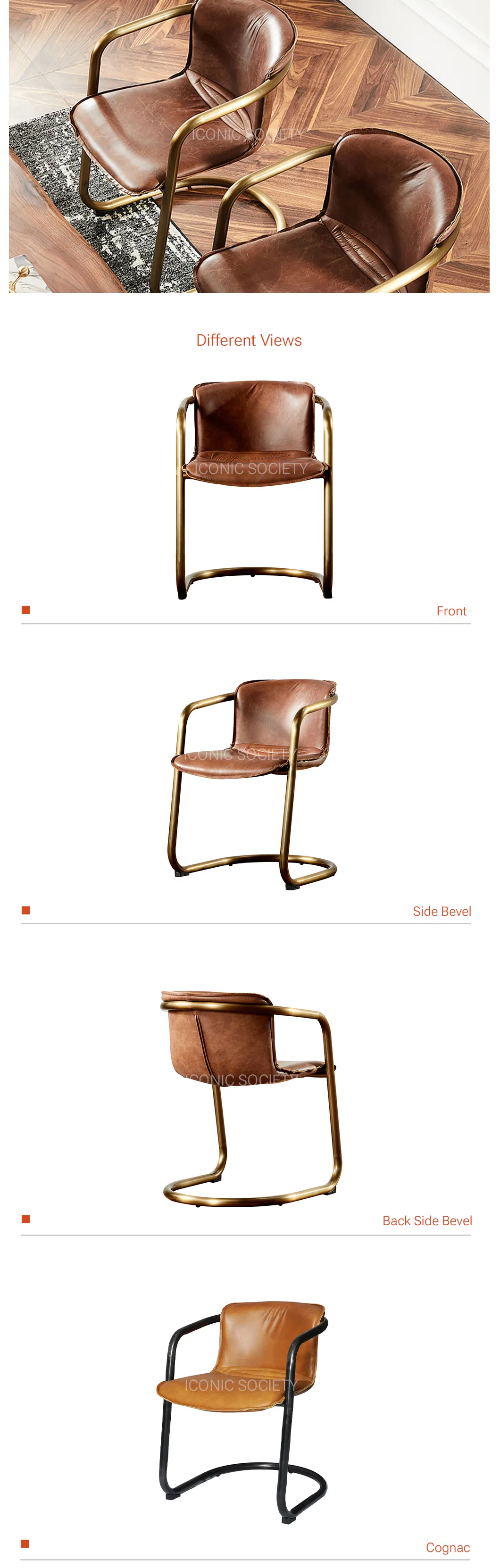 Leather Dining Chair View 2