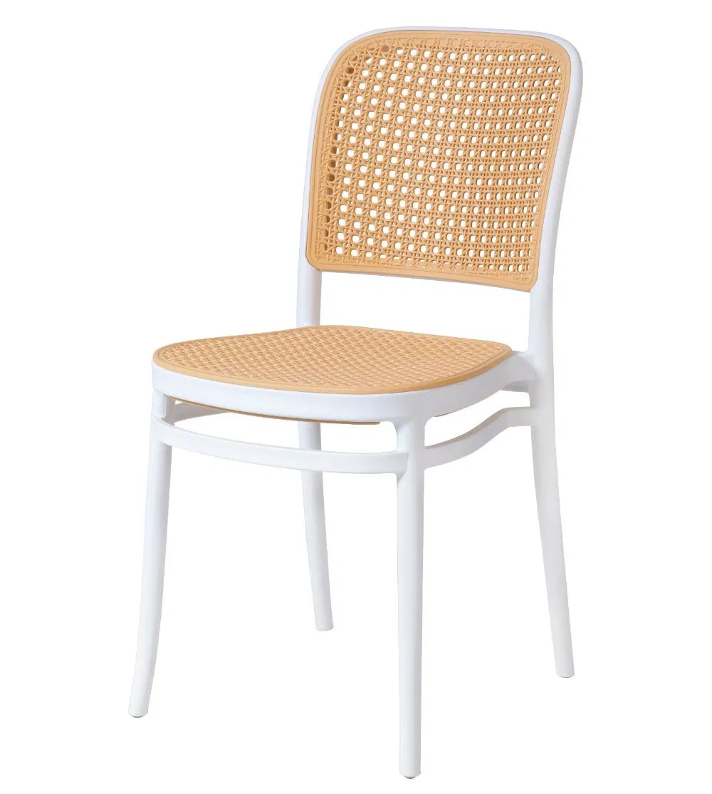 Plastic Garden Chair