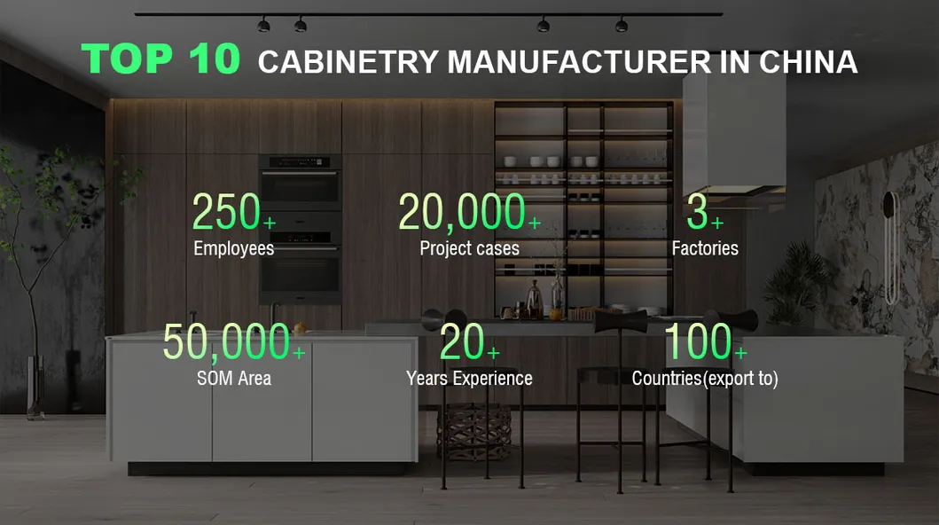 Modern Kitchen Cabinet