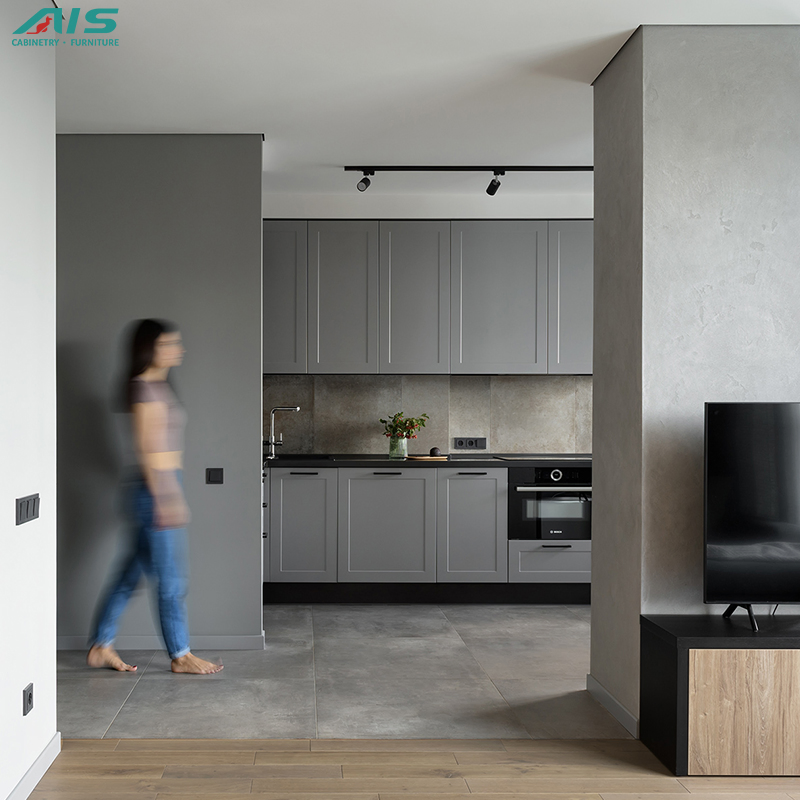 Contemporary Minimalist Luxury Style Simple Design Units Apartment Custom Furniture Set Grey Shaker Lacquer Kitchen Cabinet