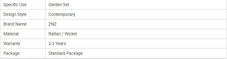 Modern Outdoor Rattan Sofa